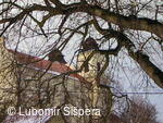 Bojkovice, město v zimě