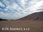 CK SHENKO´S