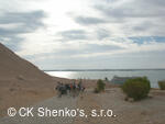 CK SHENKO´S