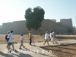 CK SHENKO´S