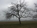 Meditační a relaxační centrum NATARAJ Skalka u Doks