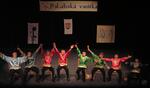 Folklorní festival Polabská Vonička