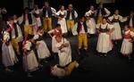 Folklorní festival Polabská Vonička