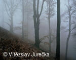 Hukvaldy 039
