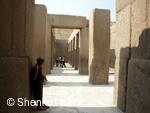 CK Shenkos, Egypt, Giza