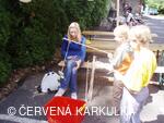 Medobraní s dětským dnem 2009