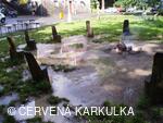 Medobraní s dětským dnem 2009 - v dešti