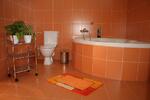 Novomanželské apartmá - koupelna